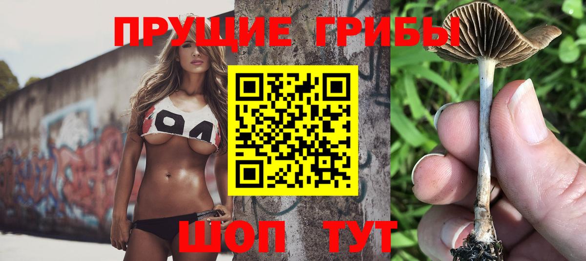 Псилоцибиновые грибы MAGIC MUSHROOMS Тосно