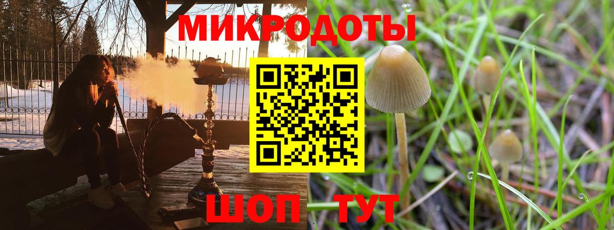 Тосно  Псилоцибиновые грибы Psilocybe  где продают   Вход с VPN 
